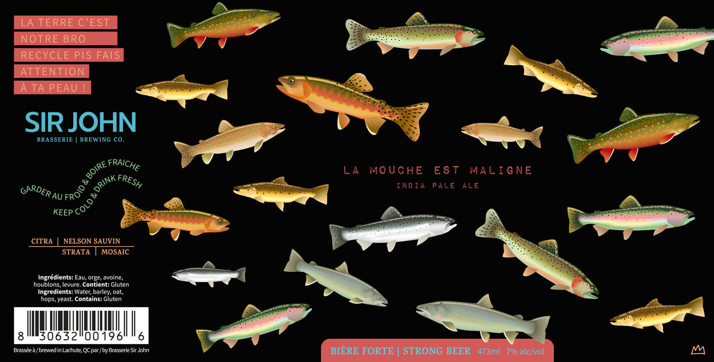 La Mouche est maligne