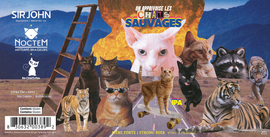 On apprivoise les chats sauvages